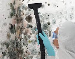 Best Basement Mold Removal  in White Oak, MS